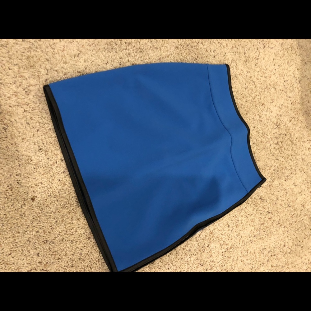 Ann Taylor skirt